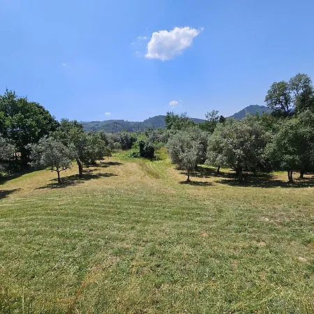 Casa Toupeira Apartment