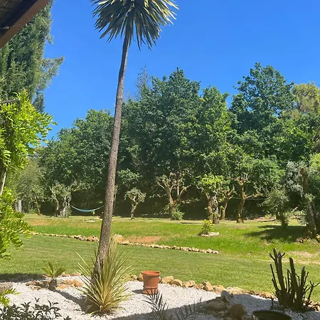 Casa Toupeira * Folques