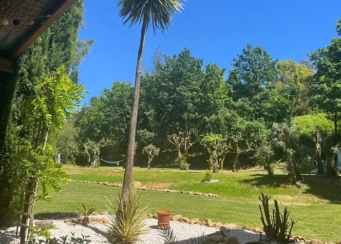 Casa Toupeira * Folques